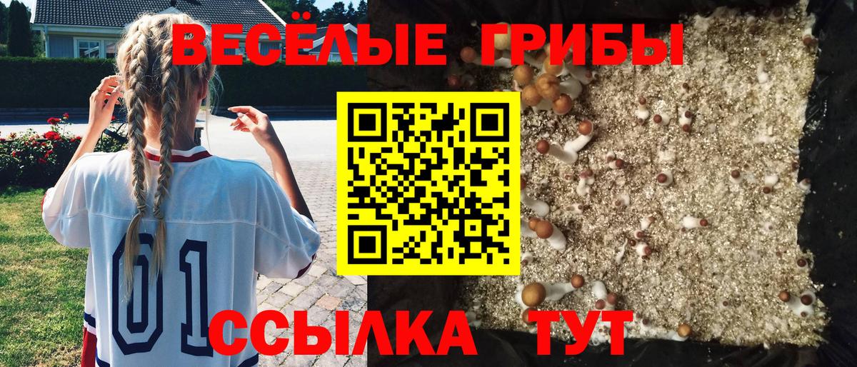 Псилоцибиновые грибы MAGIC MUSHROOMS  Вход с VPN  продажа наркотиков  Новошахтинск 