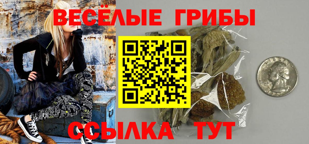 Галлюциногенные грибы ЛСД Новошахтинск