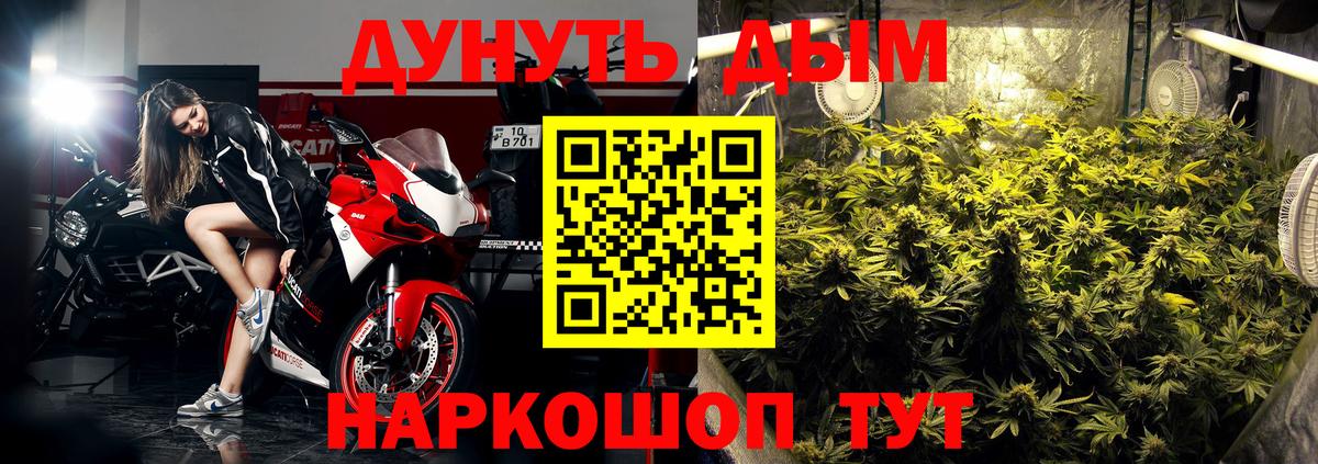 Каннабис семена Новошахтинск
